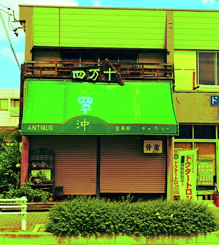 A broad green awning shades two closed brown shutters behind a low hedge.