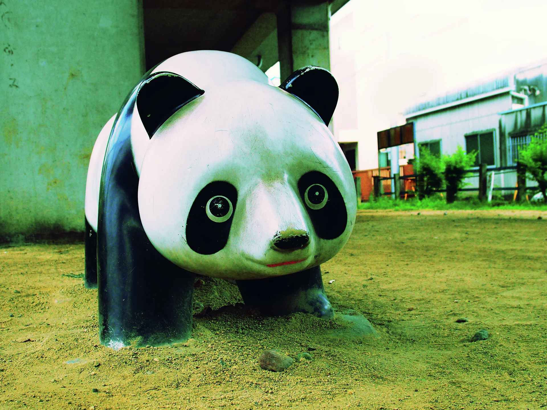 A squat white and black panda sculpture stands on bare ground beside a green wall.