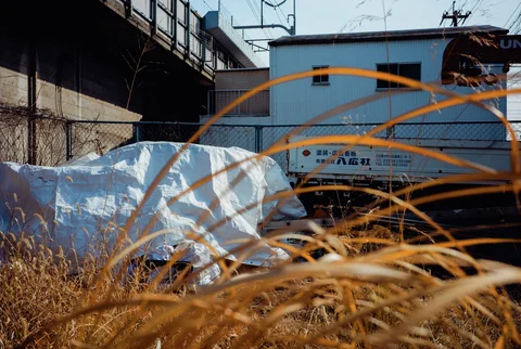 Dry golden grass fills the foreground before a pale tarp and blue industrial building.