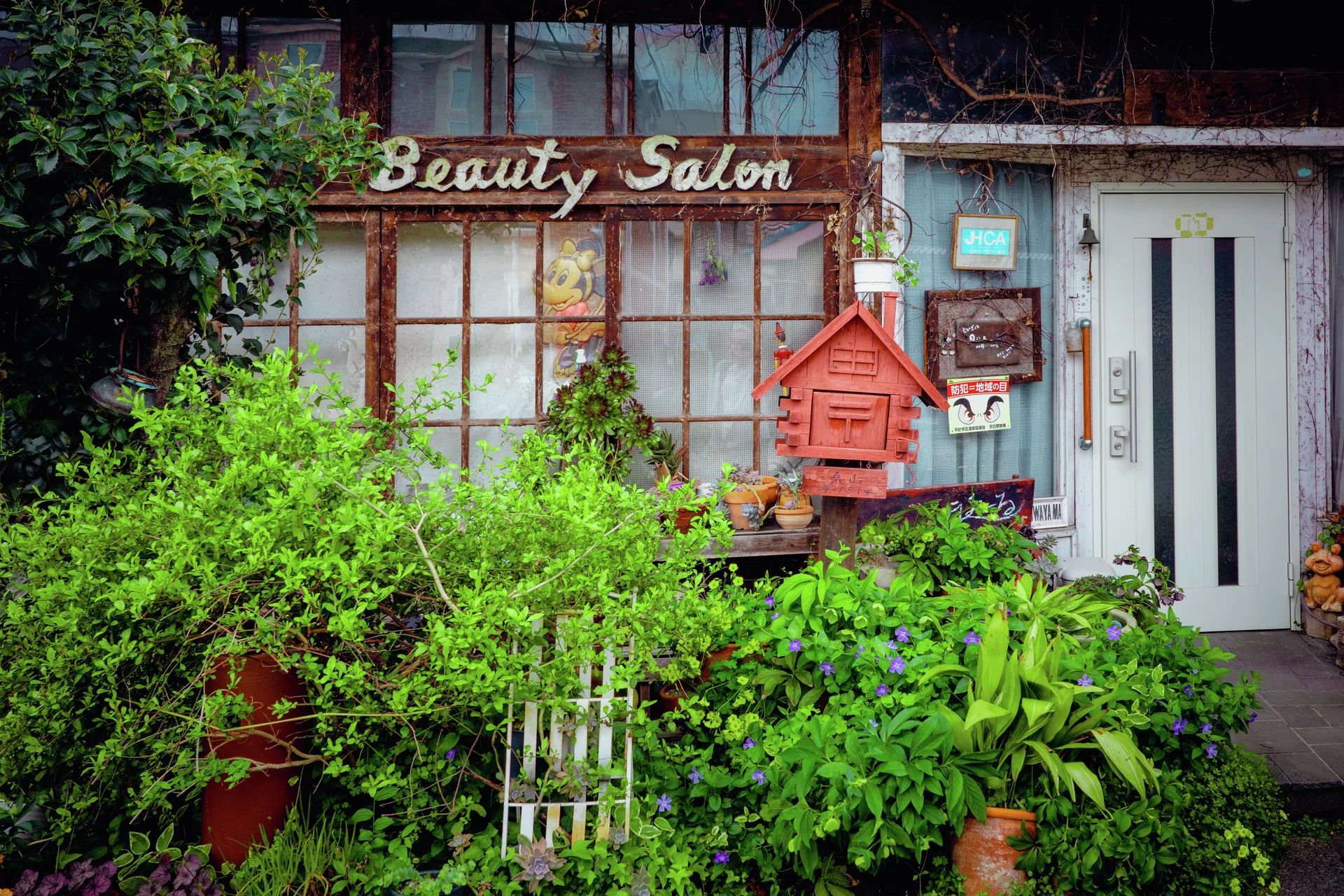 Dense green plants crowd an aging Beauty Salon facade beside a red mailbox and pale entrance door.