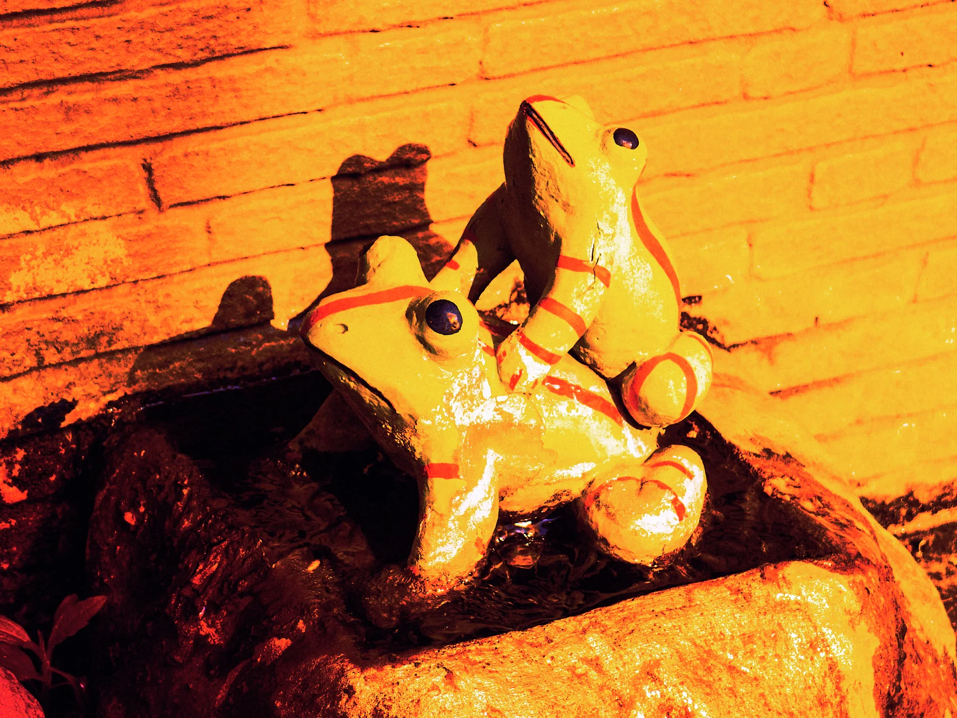 Two yellow frog sculptures sit on a dark base and cast sharp shadows against a brick wall.