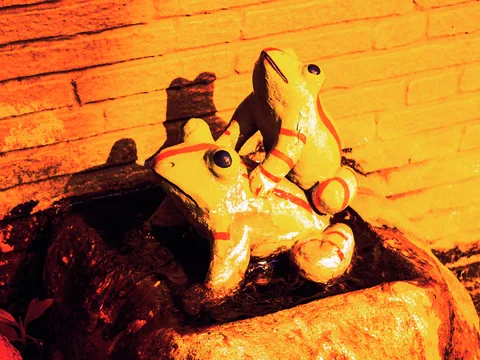 Two yellow frog sculptures sit on a dark base and cast sharp shadows against a brick wall.