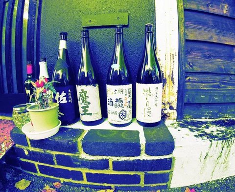 Four tall labeled bottles stand beside a small flowerpot on a dark brick ledge.