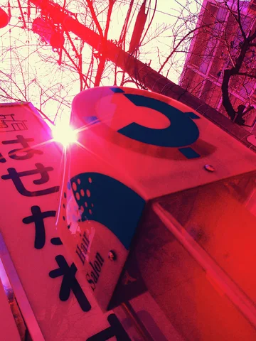 Sunlight flares beside bright red projecting shop signs below bare branches and overhead wires.