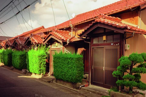 A row of wooden homes with red tiled roofs faces a narrow street behind neatly trimmed green hedges.
