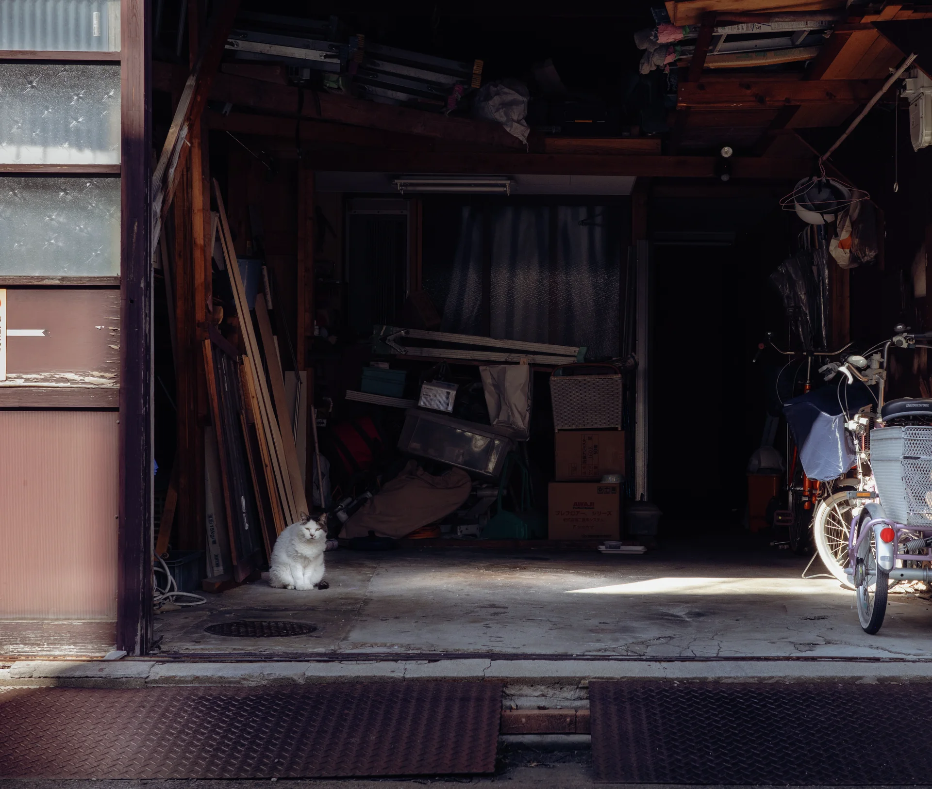 A white cat sits at the entrance of a dark cluttered garage beside a parked bicycle.