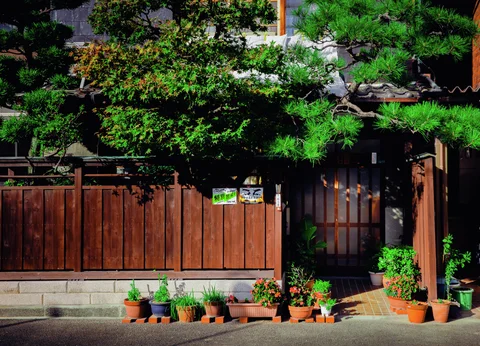 Potted flowers line a wooden fence and recessed entrance beneath dense carefully shaped green branches.
