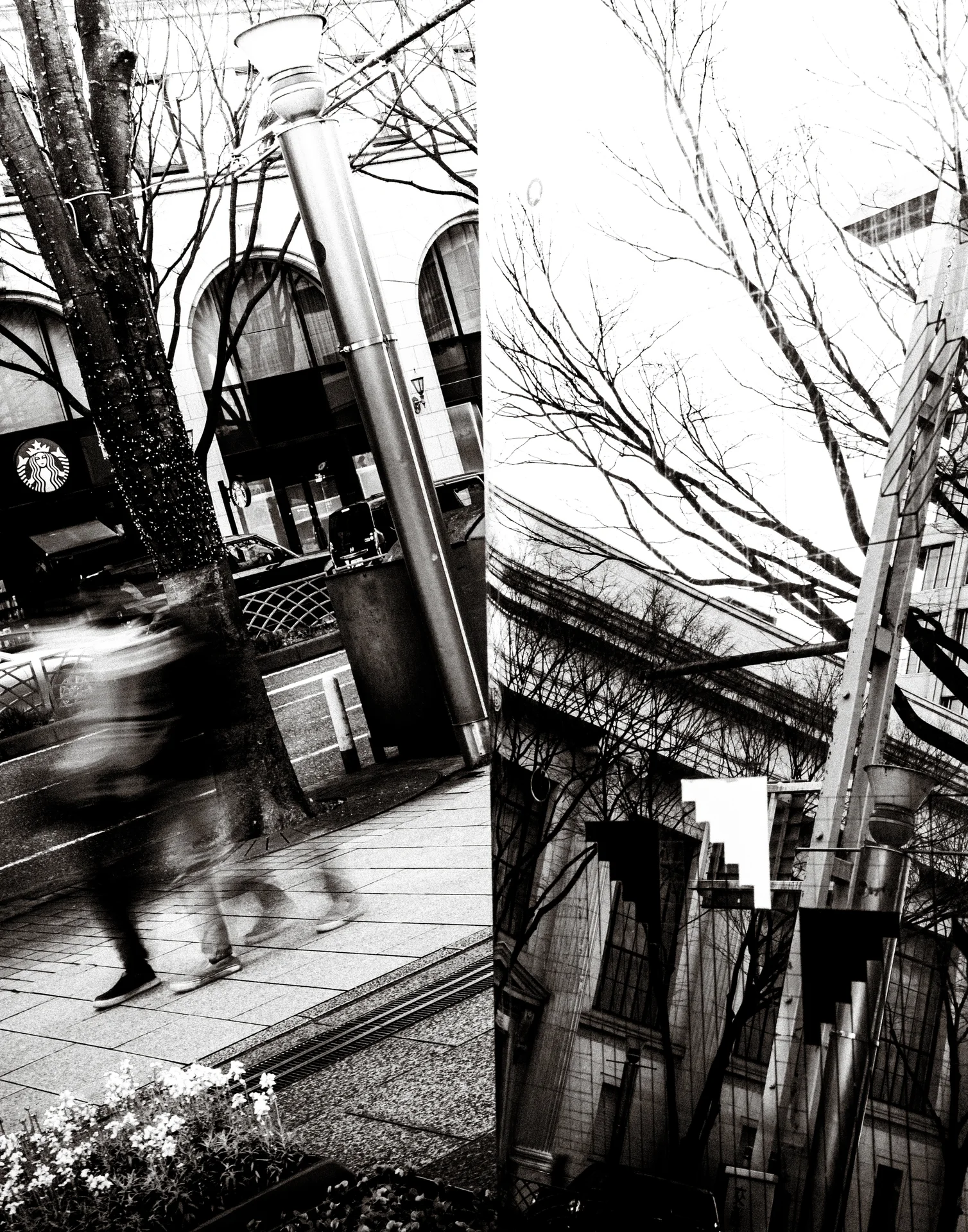 Mirrored panels fragment a street scene with a blurred cyclist and bare tree branches in black and white.