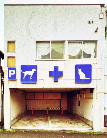 Blue dog and cat symbols flank a medical cross above an empty recessed garage entrance.