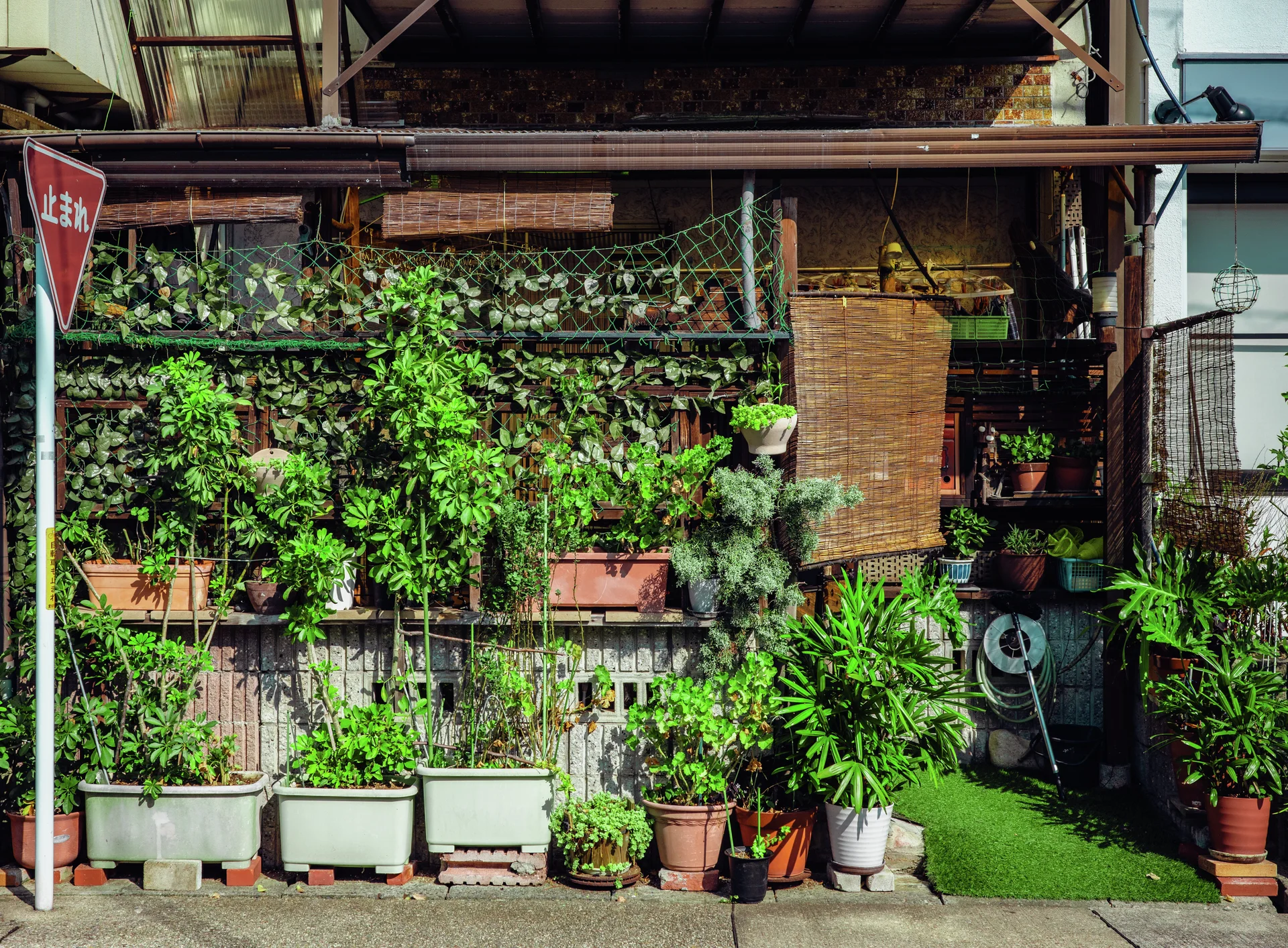 Dense potted greenery fills the front of a small building with bamboo blinds.