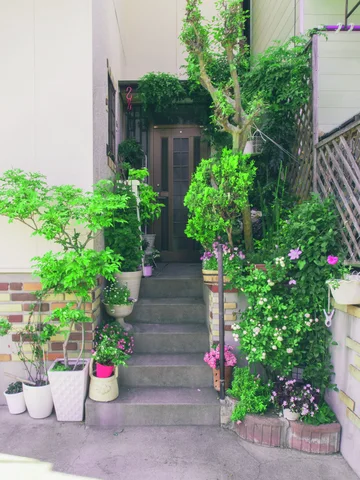 Potted greenery and pink flowers crowd both sides of narrow steps leading to a shaded doorway.