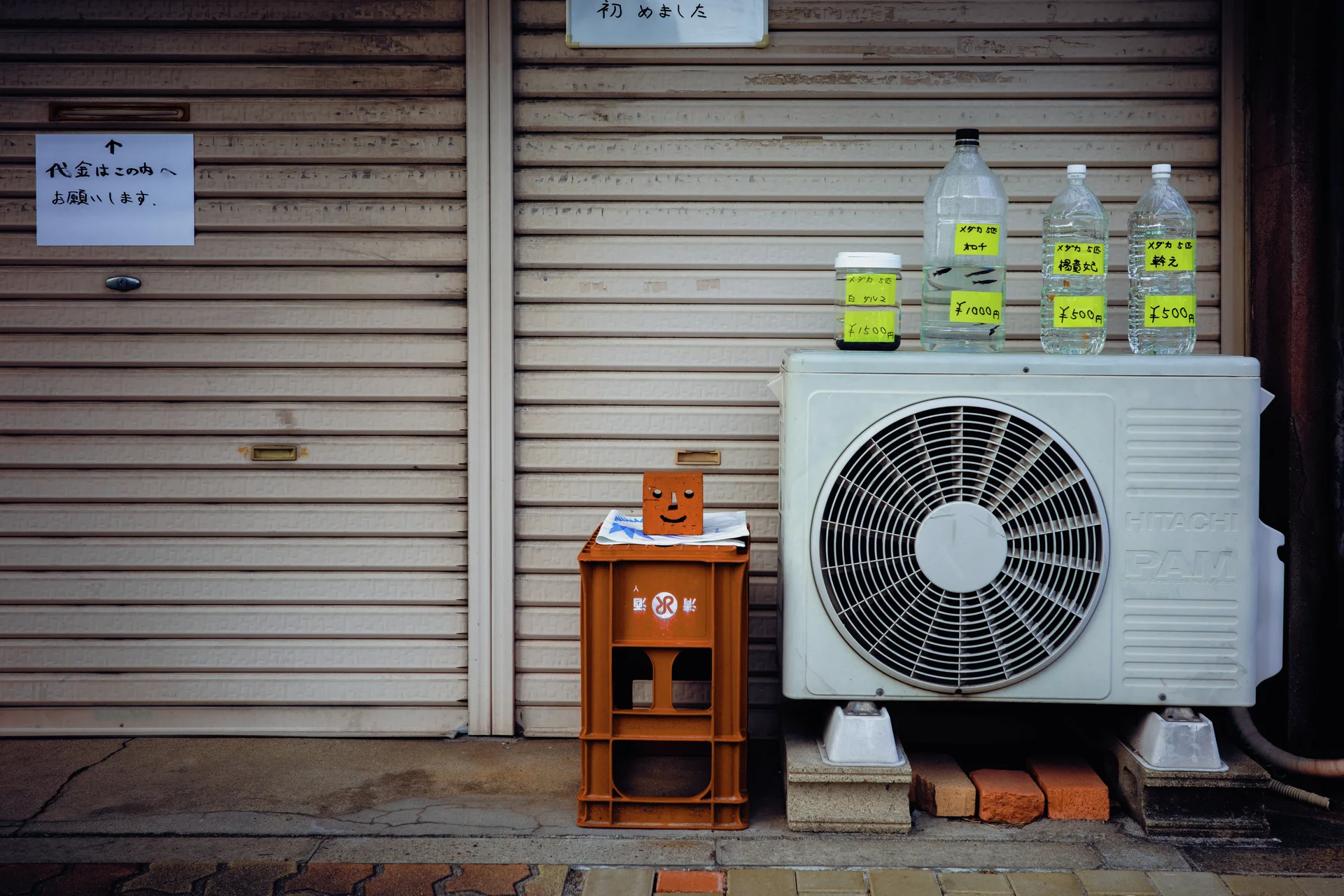 Labeled bottles rest atop an outdoor air conditioner beside an orange crate and closed shutters.