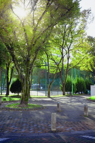Sunlight filters through tall green trees above a paved park path lined with short bollards.