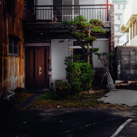 A pruned tree and shrubs stand before a small house with a metal balcony.