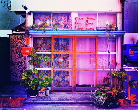 Patterned curtains and pink panes fill a small storefront surrounded by potted plants and vivid colored light.