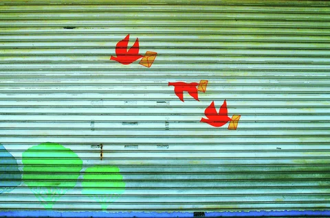 Three red birds carrying yellow shapes decorate a pale closed shutter above painted green foliage.