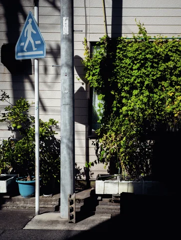 A blue pedestrian sign and concrete utility pole stand beside leafy vines under sharply defined shadows.