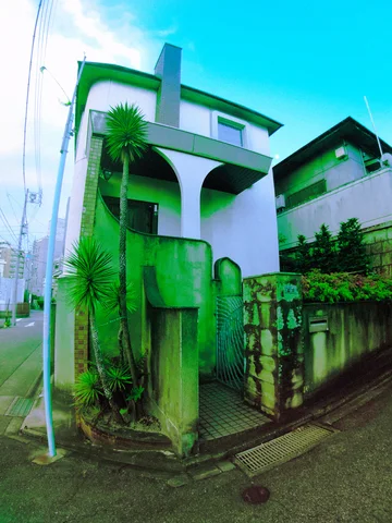 Curved white balcony supports and slender palms rise behind a green gate and stone wall.