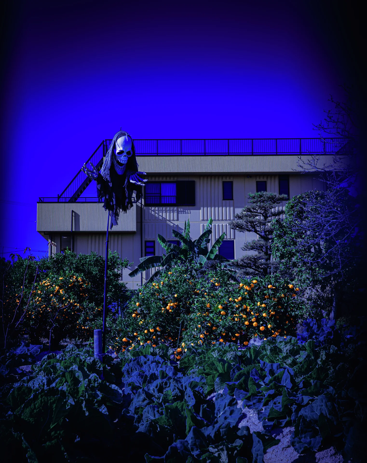 Dense leafy plants surround a low industrial building and raised machinery beneath a vivid blue sky.