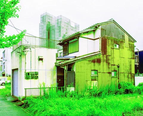 Tall grass surrounds a green-toned weathered house beside a pale blocky building with exposed utility boxes.