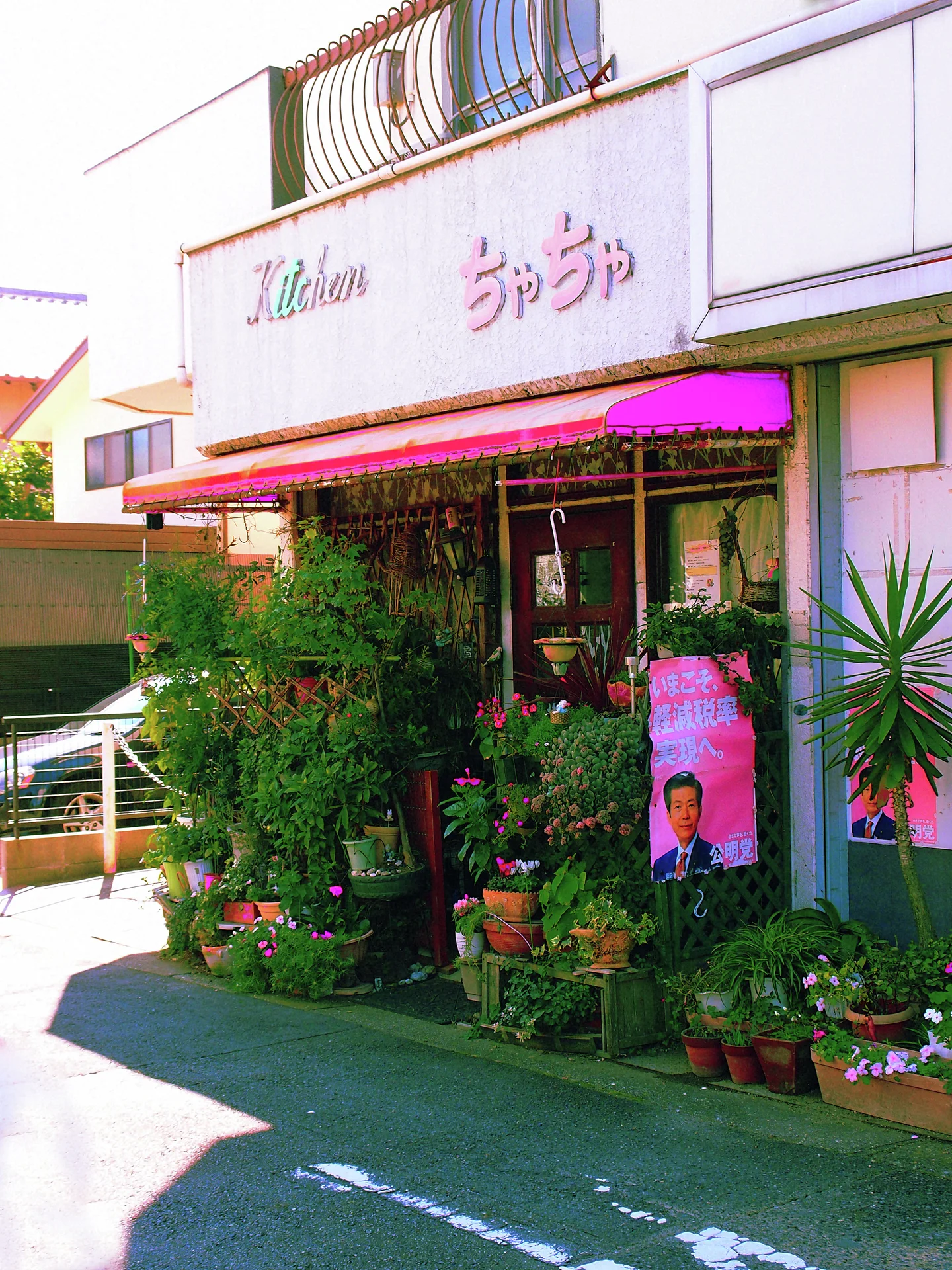 Dense potted plants surround a small storefront beneath a faded pink awning and pale signs.