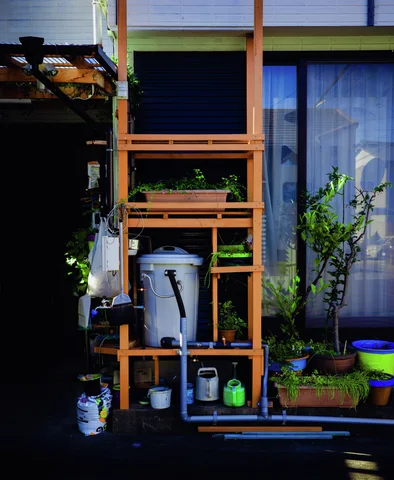 A narrow wooden rack holds buckets and gardening supplies beside a window surrounded by potted greenery.