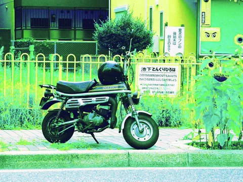 A small black motorcycle stands on a sidewalk beside a yellow fence and dense roadside plants.