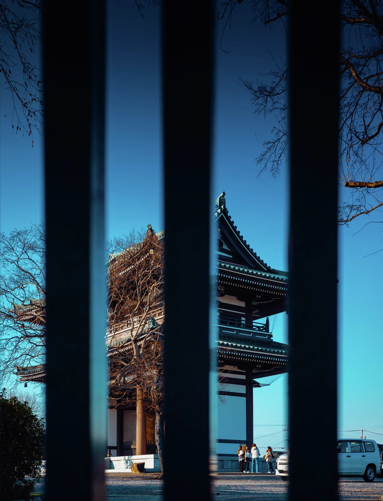 Dark vertical bars frame an ornate tiled roof and distant parked car beneath a vivid blue sky.