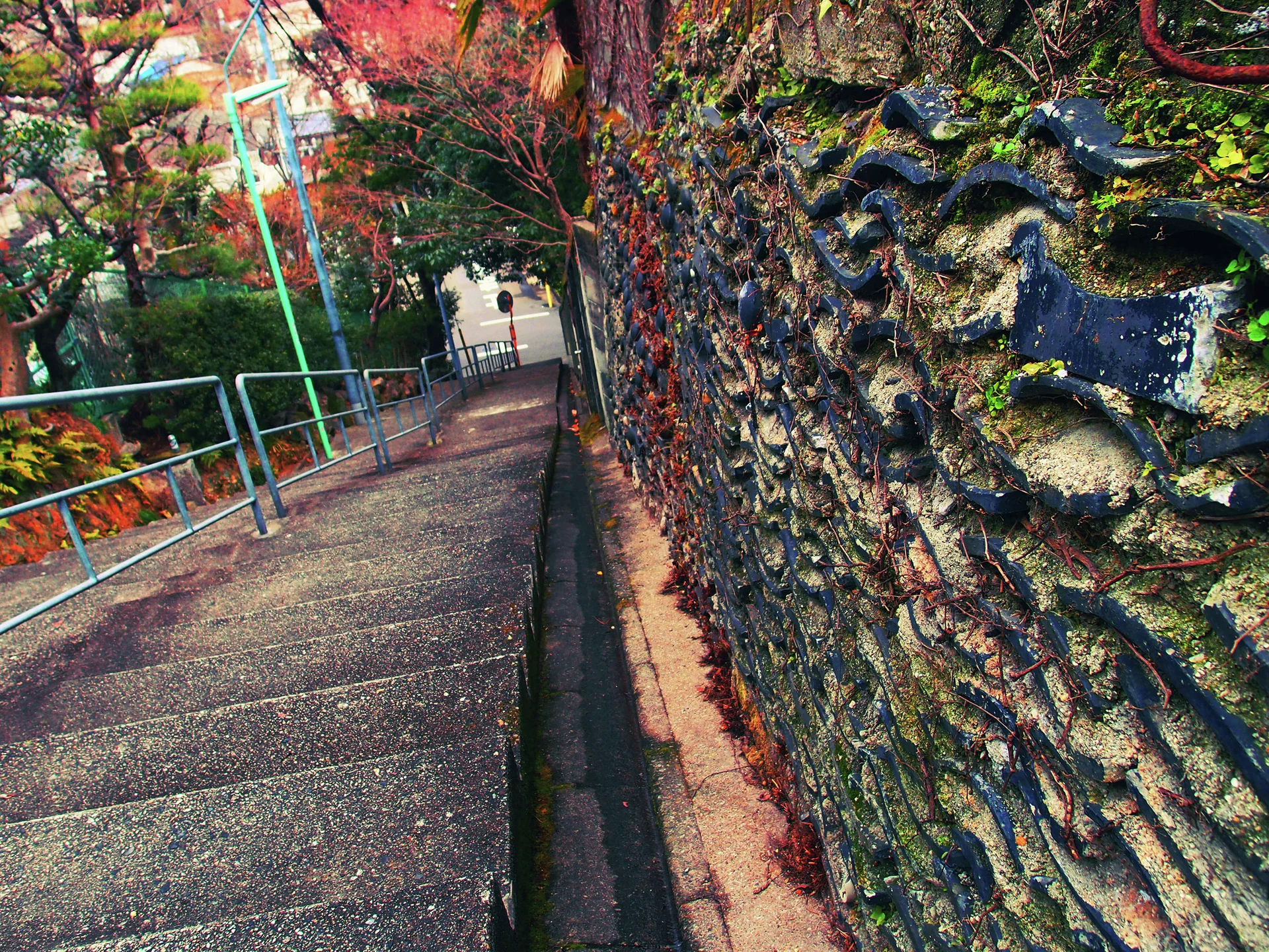 Concrete steps descend beside a dark mossy stone wall beneath branches and green metal railings.