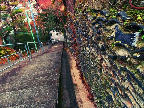 Concrete steps descend beside a dark mossy stone wall beneath branches and green metal railings.