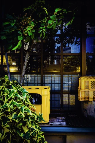 Yellow crates and dense plants cluster beside a dark gridded window and a slender tree.