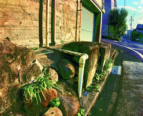 Ferns sprout between rounded stones in a low retaining wall beside a white drainpipe and closed shutter.