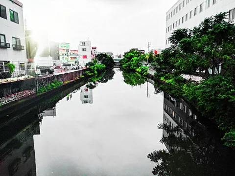 Still canal water reflects trees and buildings lining both banks beneath a bright pale sky.
