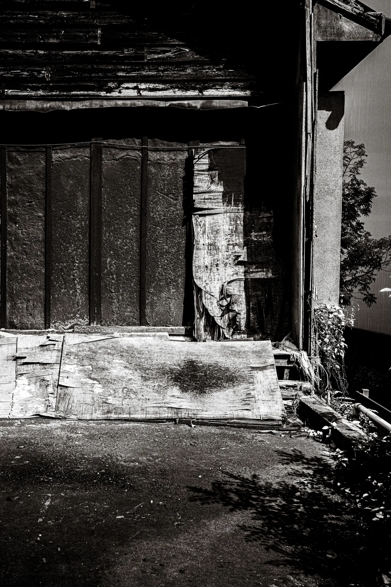 Sunlight strikes rough wooden boards and crumbling wall edges above uneven ground in black and white.
