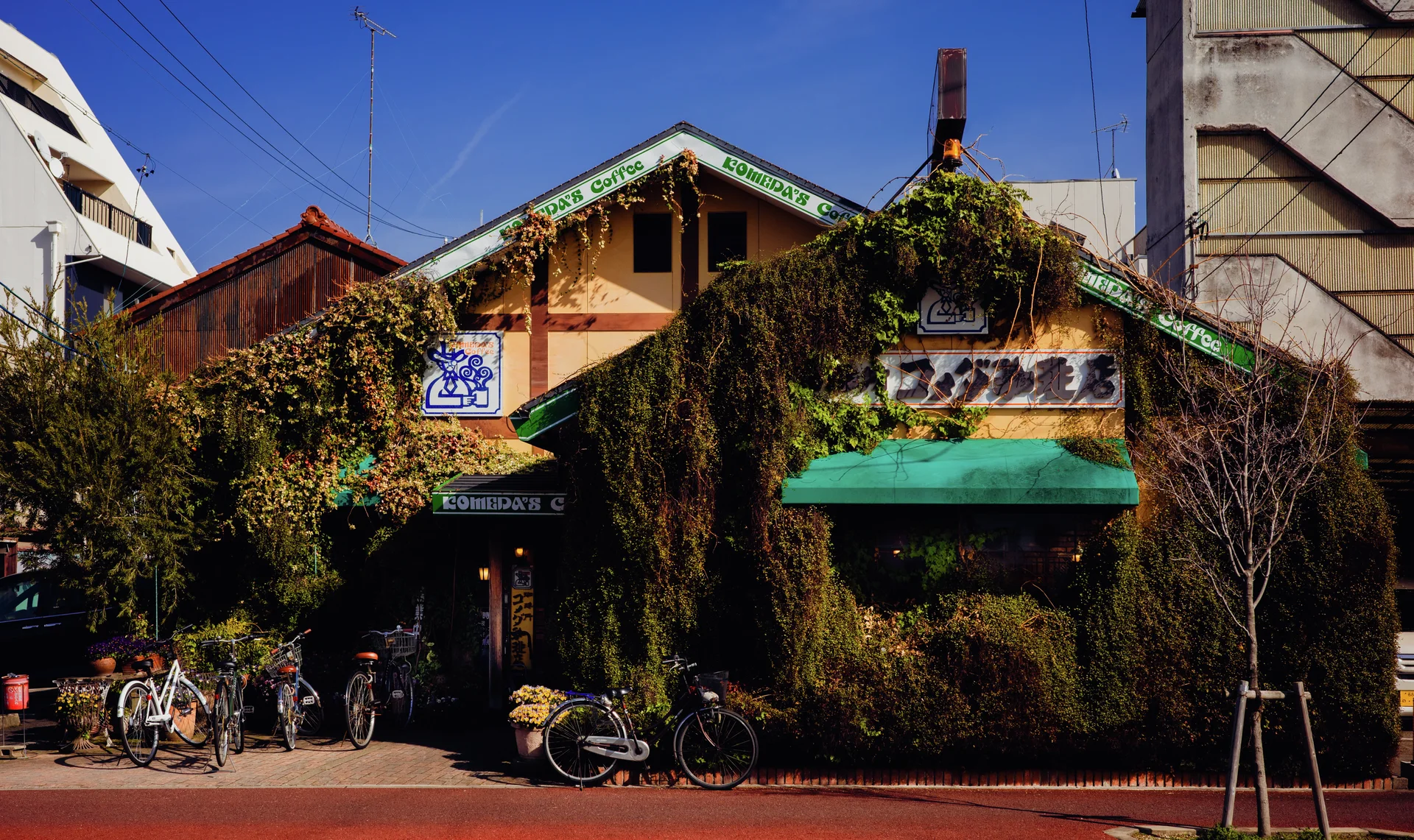 Trailing greenery covers a corner shop with green awnings and bicycles parked outside.