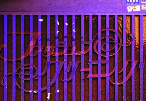 Decorative red script overlaps vertical purple bars on a weathered doorway or window grille.