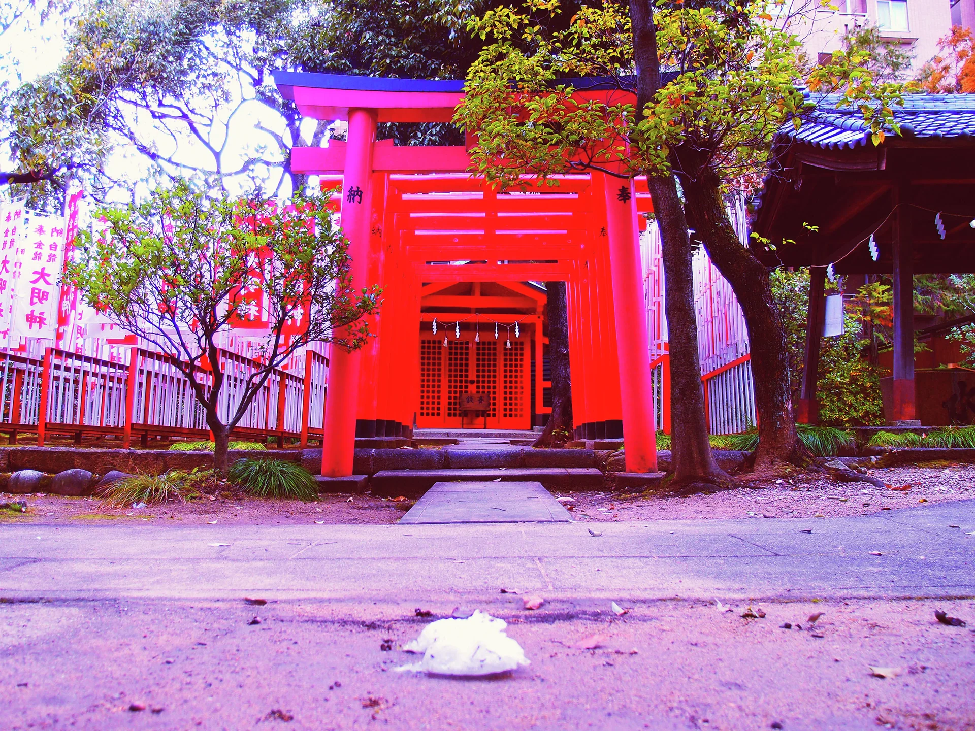 Repeated bright red gateways form a narrow passage among trees beside a small roofed structure.