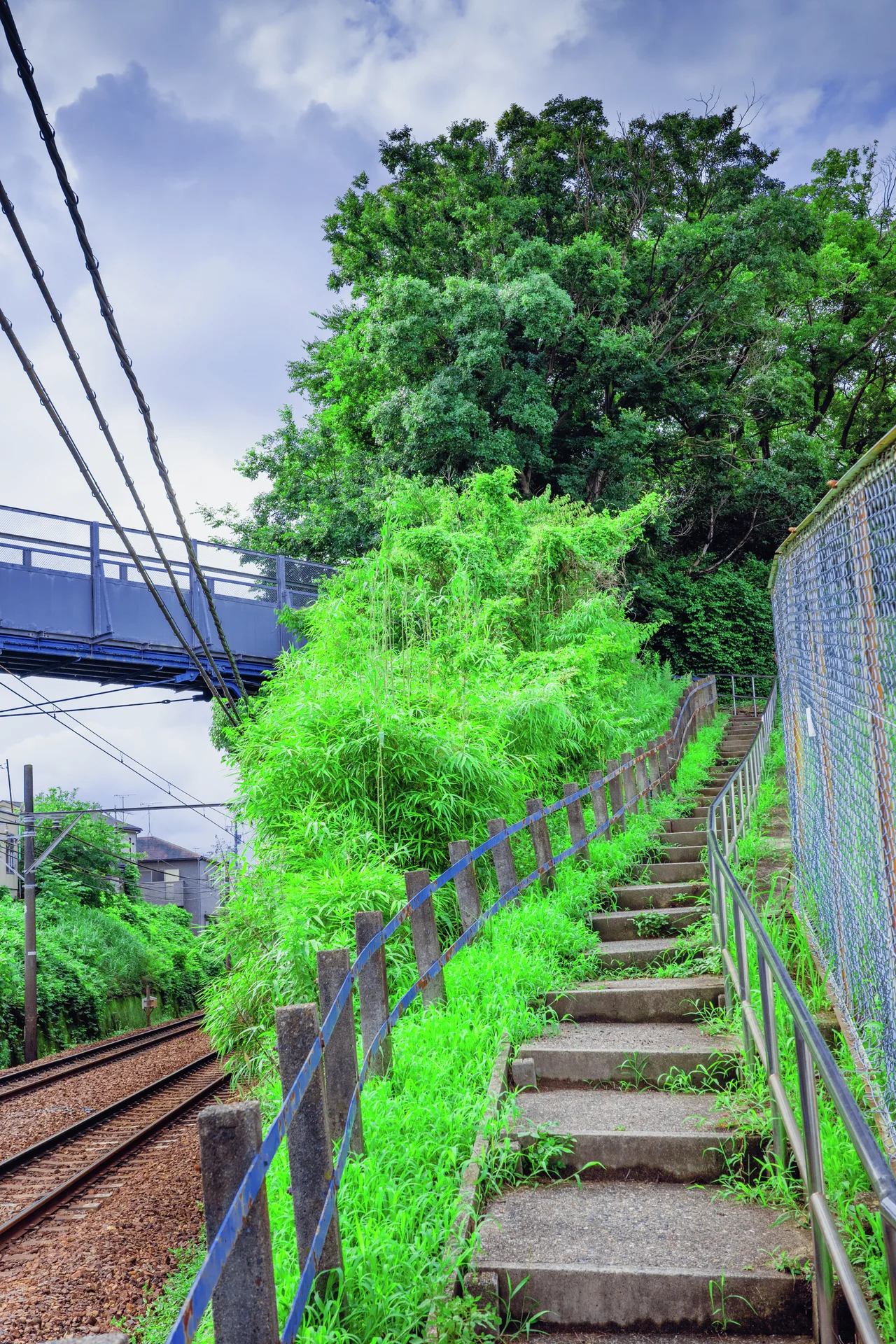 Narrow concrete steps climb beside railway tracks through dense greenery between fences.