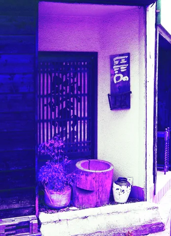 Potted plants and a large cylindrical container stand beside a recessed entrance with a dark slatted door.
