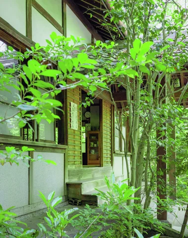 Leafy branches partially obscure an open doorway and pale walls of a wooden building.