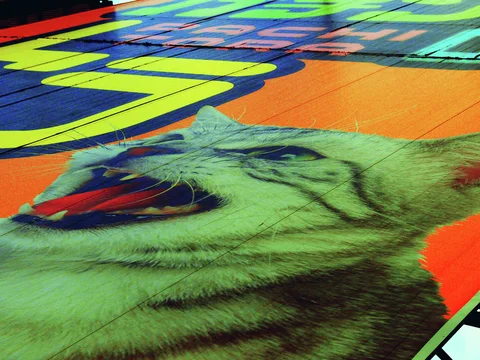 A giant illustrated roaring tiger head fills an orange sign beneath large brightly colored characters.