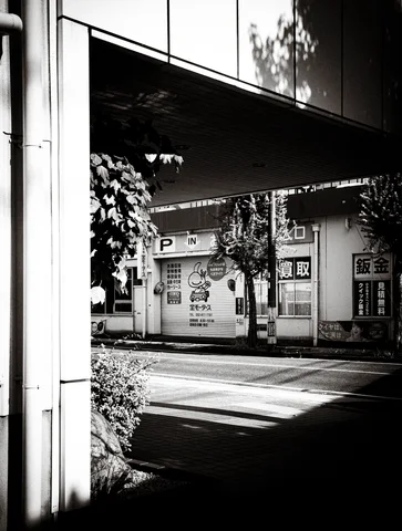 A shaded passage beneath a broad canopy frames sunlit shop fronts across a street in black and white.