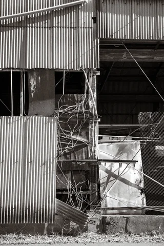 Broken corrugated siding exposes dark beams, tangled vines, and pale panels in black and white.