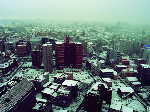 Snow-covered rooftops and dense city buildings extend toward a hazy pale horizon.