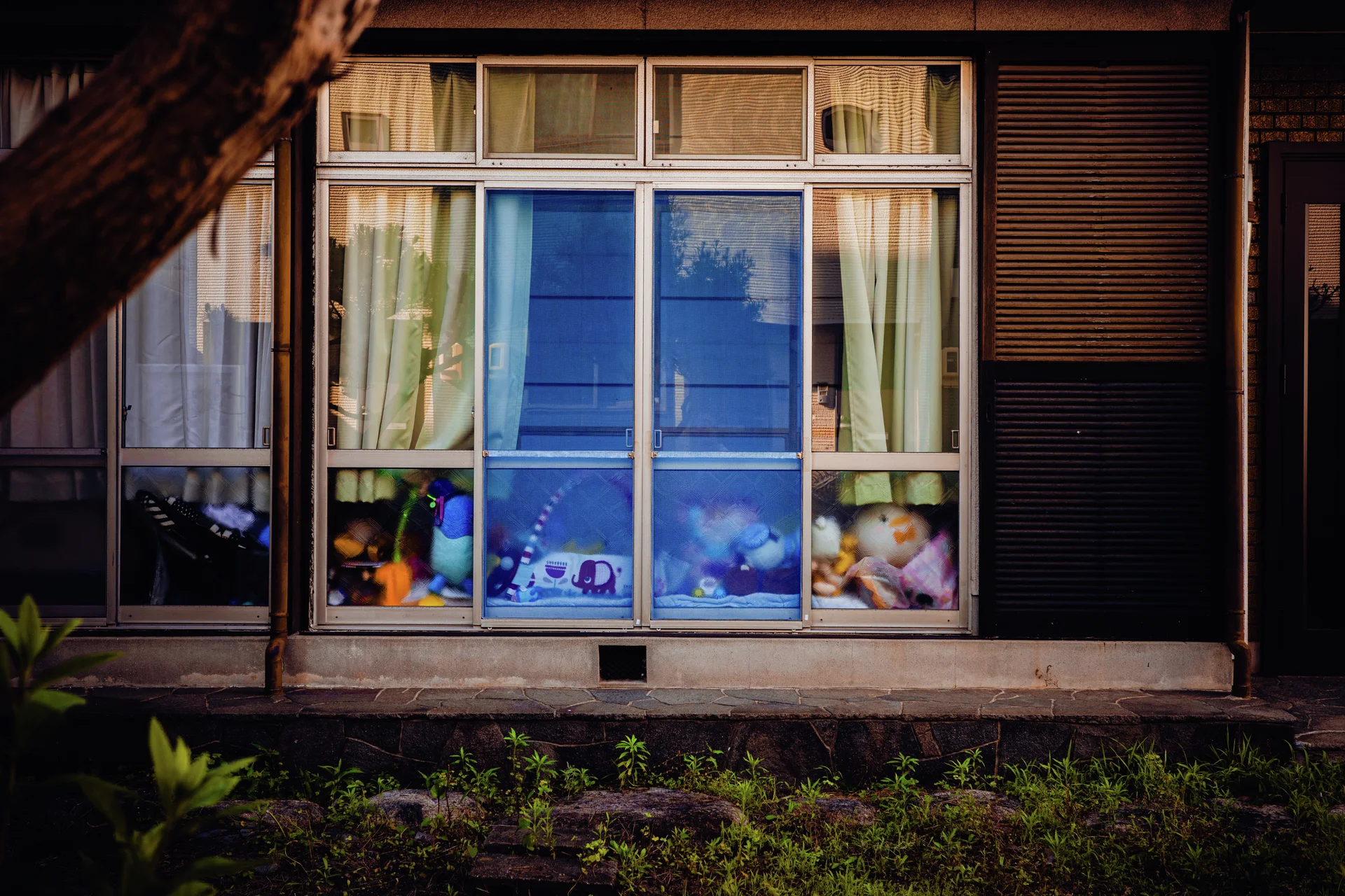 Stuffed toys line the bottom of a large curtained window with a blue central reflection.