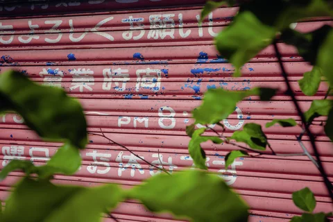 Green leaves partially obscure faded white and blue lettering painted across closed pink shutters.