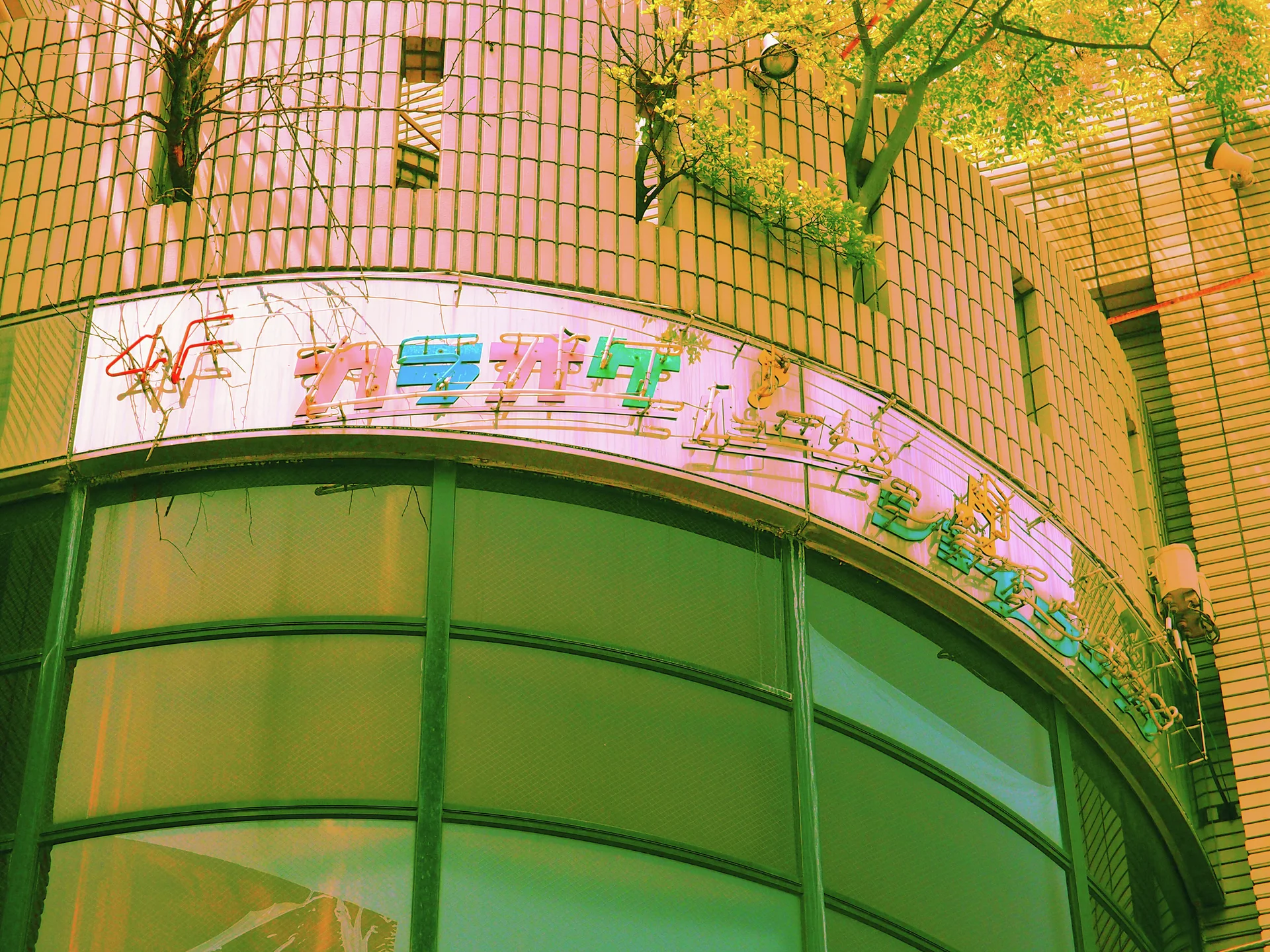 Colorful lettering wraps around a rounded tiled building above curved green windows and nearby tree branches.