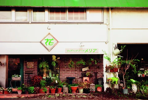 Numerous potted plants fill a shop frontage beneath pale walls, high windows, and a bright green roof edge.