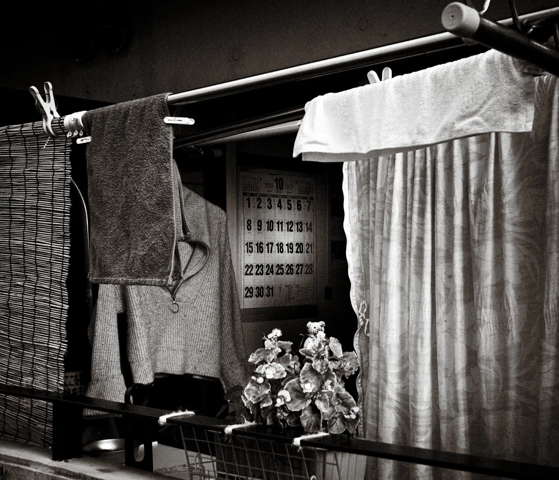 Laundry hangs across a shaded frontage beside a wall calendar and flowering potted plant.