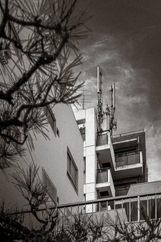 Bare branches frame pale apartment blocks with rooftop antennas beneath textured clouds in black and white.